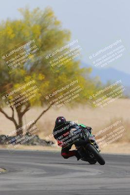 media/Apr-12-2025-Race Pace (Sat) [[9230add55f]]/Vested/6-Turn 4 Tree of Life (115pm)/